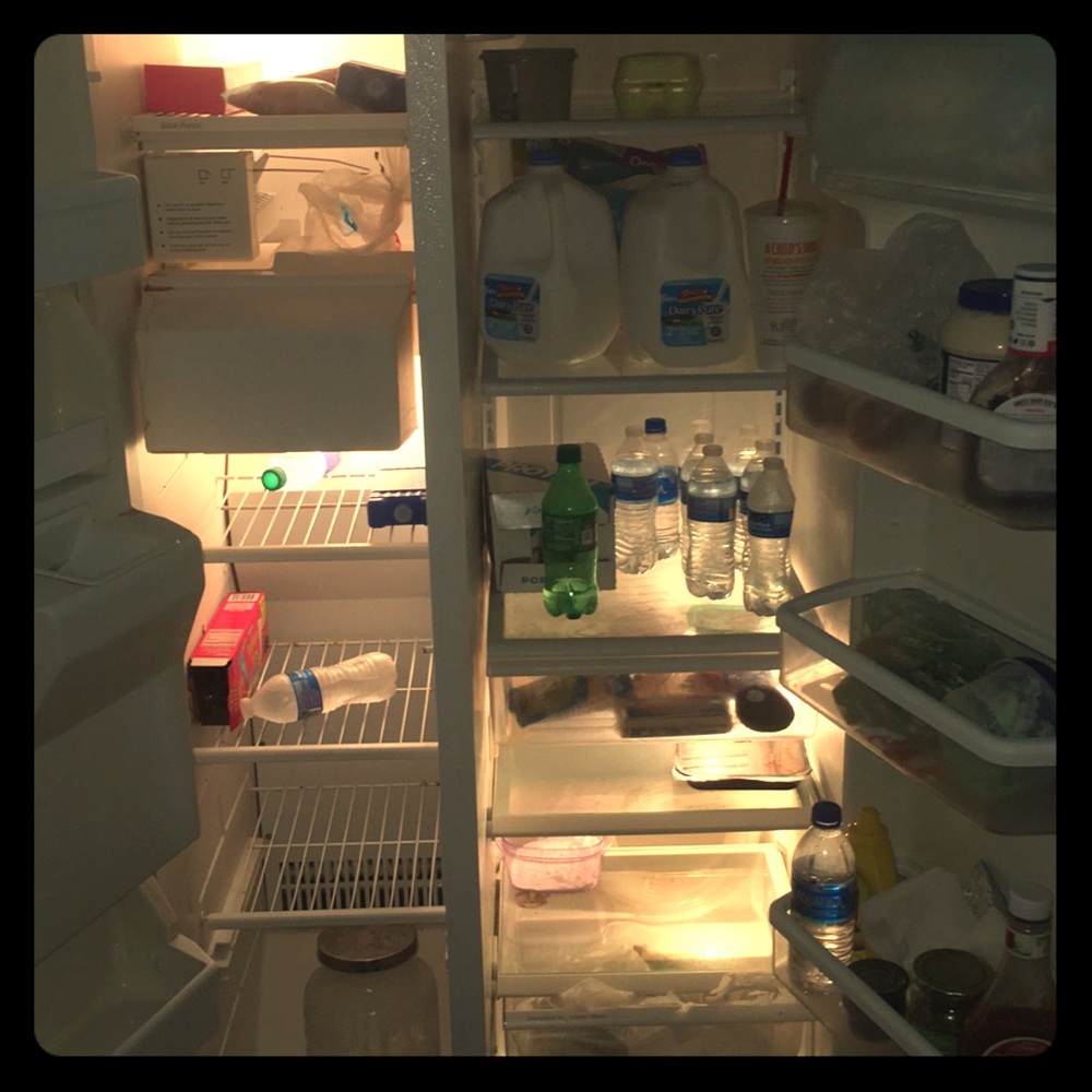 Kenmore refrigerator works great!